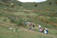 0d3321997c1d27c57e6cd0e0ec9948b5