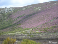 0d782e61069b853b5858b551631130f7