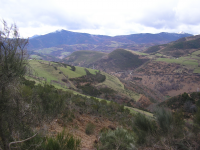 0f30630b2a8f7250e4fa74d0195151e6