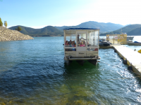 0f6ff43fc41f3a5302e7d11a51601e19