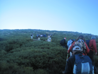 0fa9e42f1364b3bbd91a38e8859cfded