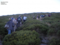 11f112132f0c19ec4b8bf39f0d2d1410