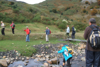 12269912603b0301e184fce2a029040e