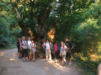 1271fb1c0a6491ec773829cd59567647