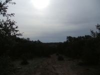 1357ef203cdcd995acd13b820679d7e5