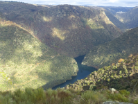 13a1be64de023a396189fcc67e5291ed