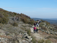 146634c7443ee18b8e6831f798083aa6