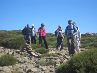 150357b7c1c17bae6fc27431dccc851b