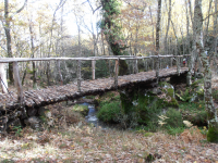 150c3f627873229fbadf2346ddb8ced3