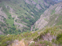 154a6bb10f4d15505aee07897209cc3e