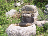 157e28c95033cfd6cc1a7c04fb030dc4