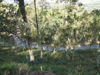 15b6769a5808aee0b986bf9c51d2f27f