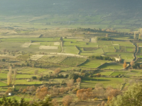 169f0cc856c625218d9439ab4a7cf9f2