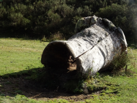 16ea19ed6879b91ef301d8cc470aa89a