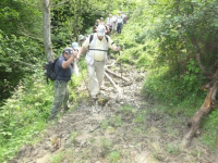 18e670dec783ee1be2ddec13281d528d