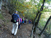 1a5834fb99db745b827c1c604b9c93b1