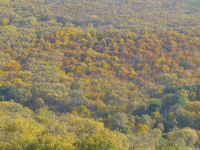 1a816bc03c1354cb37a51f7bad3bced9