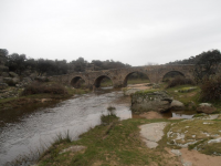 1b16741d66846adfee2986e674de1cd8