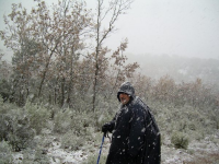 1b2eb8d6763e07f50261881b7c27cd0e