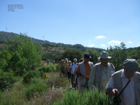 1b84b59b95bf8fa90e815b0af92b2743