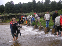 1bc70748ce47a44c9a75ae8c875d1fa4