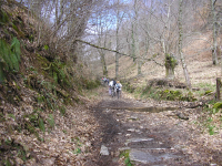 1be63c8db0338b1691e763a75320d2e5