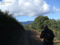 1c07d017a88c75f58a78b0246d076484