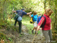 1c1308e4c04e35a2db2c6927ad37d1f9