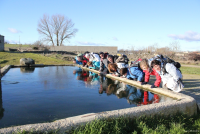 1cb64c9d6d52e8a627cff0ad66e6cb90