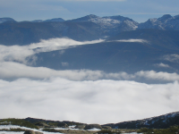 1cdf7341effab04e9c45cba05cf1a5ff