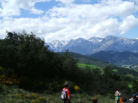 20dc6f99e92df0c400e4f2faf4a06f28