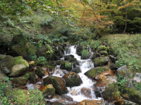 210617d6f1dfb2f54f8faa3dc4c47408