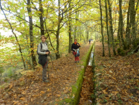 2107bbbc1931617866c22bb073436ccb