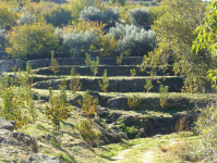 21c3fc577c66d01c8ddde25bcd889e1d