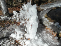 2206e5f5139fff074e32aee00cb56c16