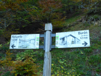 223e0884aaf3f6fca785f2b0dca7c519