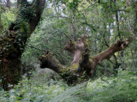 23f94cdb7035886f6c858a4589ec546e