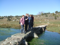 24813508101784f0e04c487789ff08b3