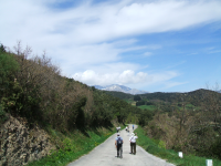 251819feef8aad22117e6a3ad88f217c