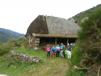 251d8b6c968e27a383ebfe51ff32e7d0