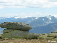 2557bce775f15833d5f0c71789e435e5