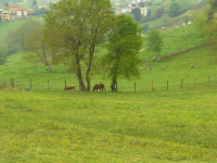 25a7c74397056c99971b481c7bc8d9d8