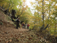 26e5006717e30bf5345bc49199ff8fc6