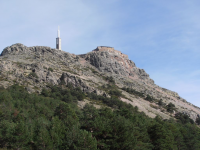 2755a7ade19dd5170f2d87ea5b02b16b