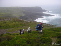 285f1a6e42f21d990bb2628a113800ce