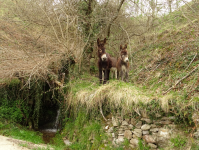 28cf351ad6bc111c9a54e9a9605183e0