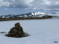 290ec0519aa4afa4ffb4276d94dcab8d