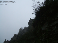 29640b3c45165ce4107a9c9df12bf544