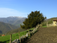 29f0278890adf83c546d610ece7b2fbe