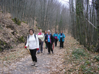 2a043f049cfd6813effaecc8a232ff21